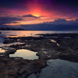 Red dawn