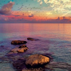 Rainbow Seas and Cotton Candy 