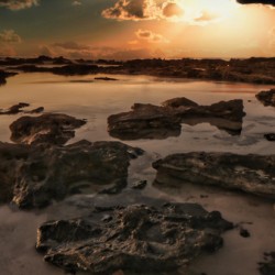 Stone Garden 