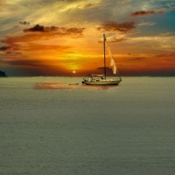 Sailing in Paradise
