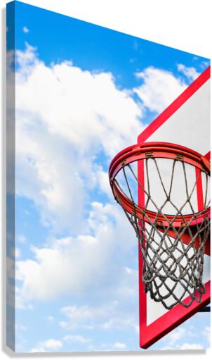 Boards Canvas Print