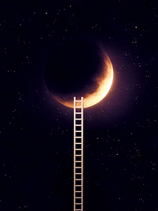 Ladder To The Moon