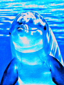 Blue Dolphin Drawing