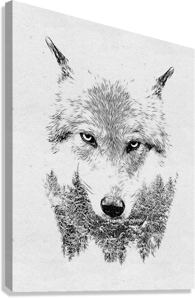 Wolf Drawing Canvas Print