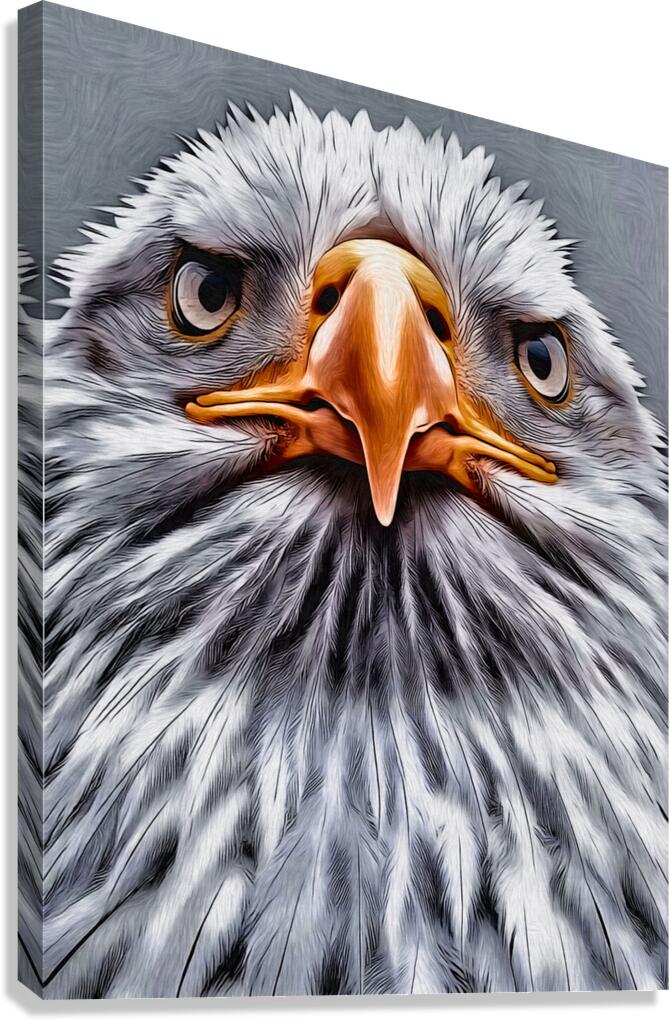 Drawing Head Eagle Canvas Print