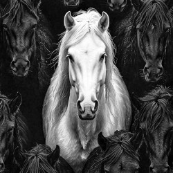 Black And White Horses Pattern