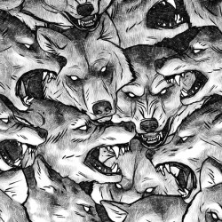 Pattern Wolf Drawing