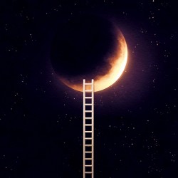 Ladder To The Moon