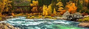 Emerald Flow Pano