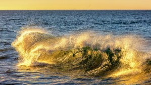 Chosen One - Art With Wave Photography from Malibu