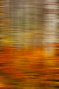 Delusion- Abstract Digital Photography Art