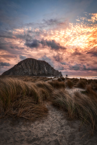 Lost In The Wind  california photography