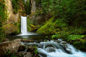 Native Flow