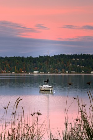 Rosy Retreat 