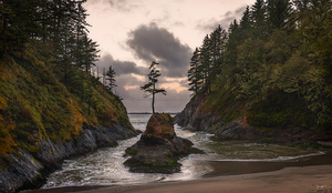 My Secret Cove