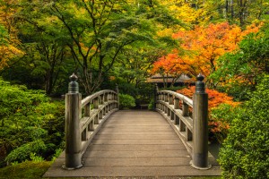 Serenity