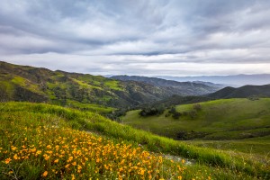 California is home