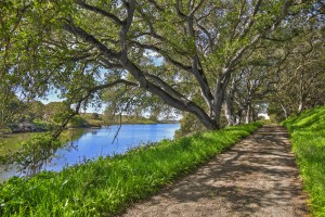 By the river