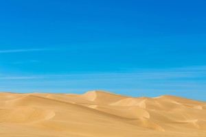 Painters dream