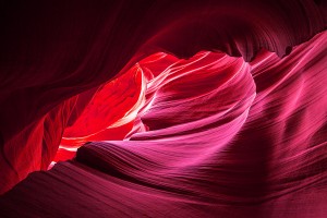 Purple Wave