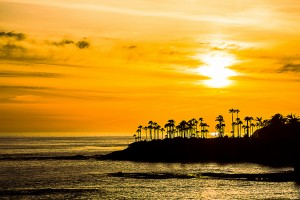 California Dreamin- Wall Decor Laguna Beach