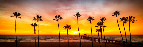 Californian magic - Peter Lik alternative palm trees panorama Print