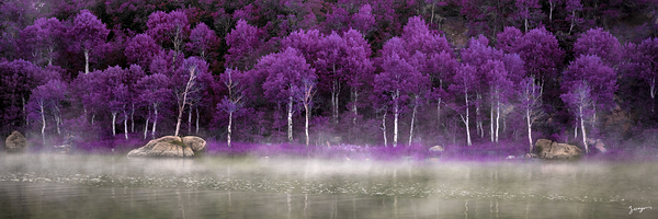 Purple Palette  Print