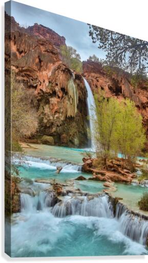 life is like a river  Canvas Print