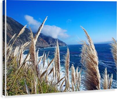 In the wind  Canvas Print