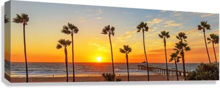 Kalifornikation  Canvas Print