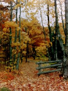 Gated Path