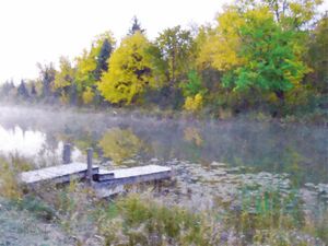 Dock on the River