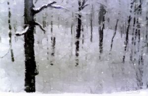 WinterTrees
