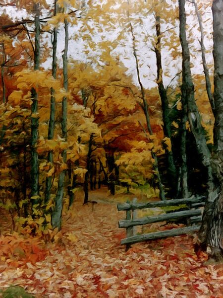 Gated Path by Bev Snider