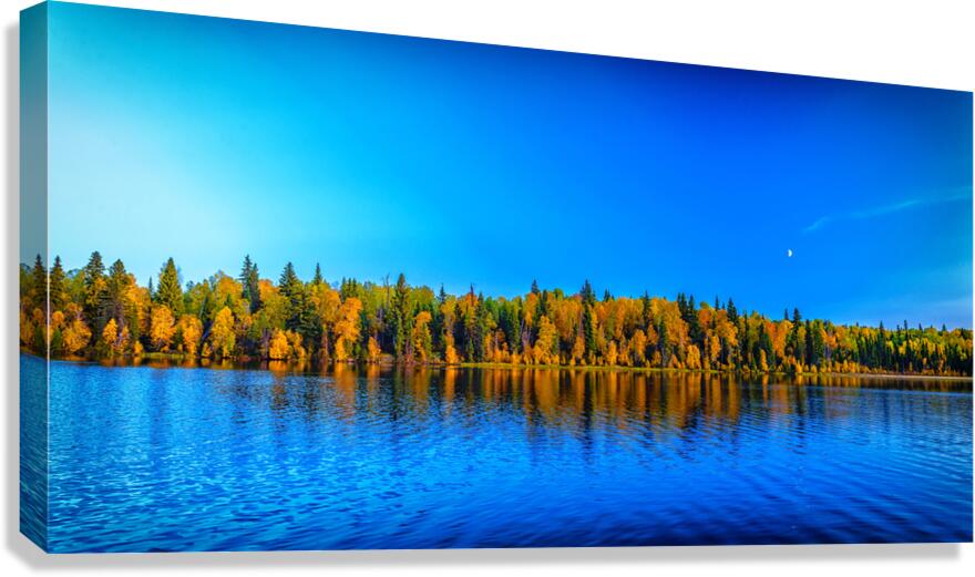 Fall shoreline Canvas Print