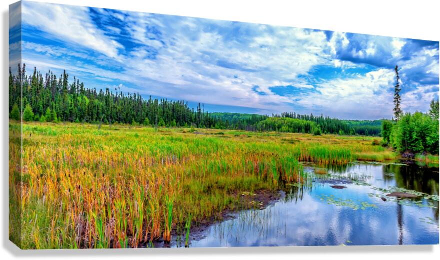 Weaver River 2 Canvas Print