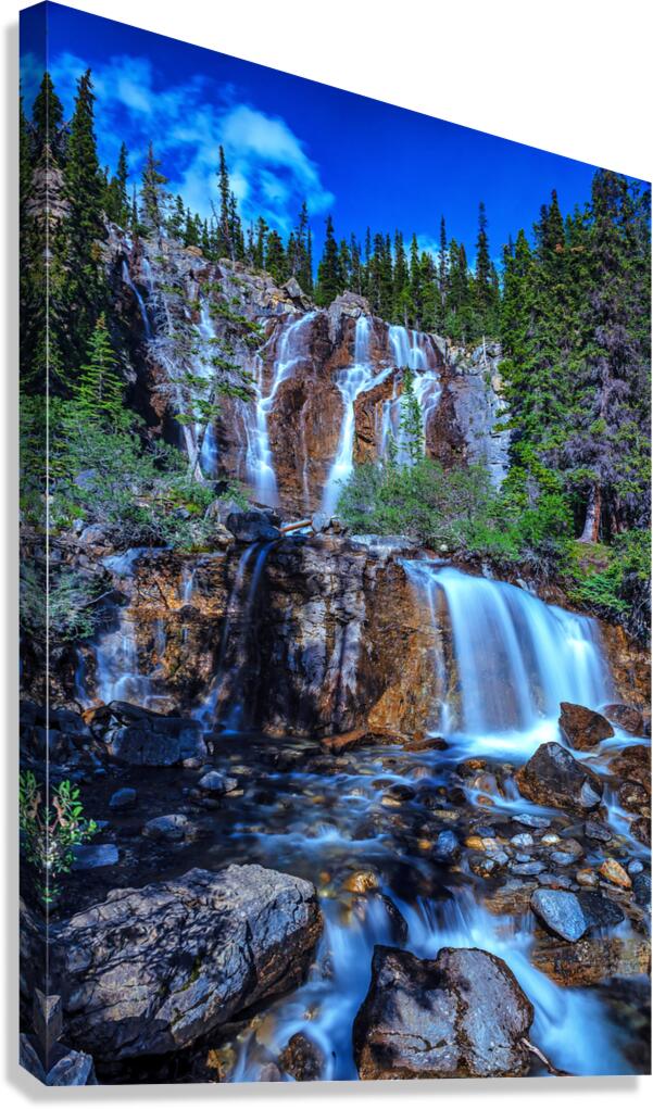 Tangle Falls Canvas Print