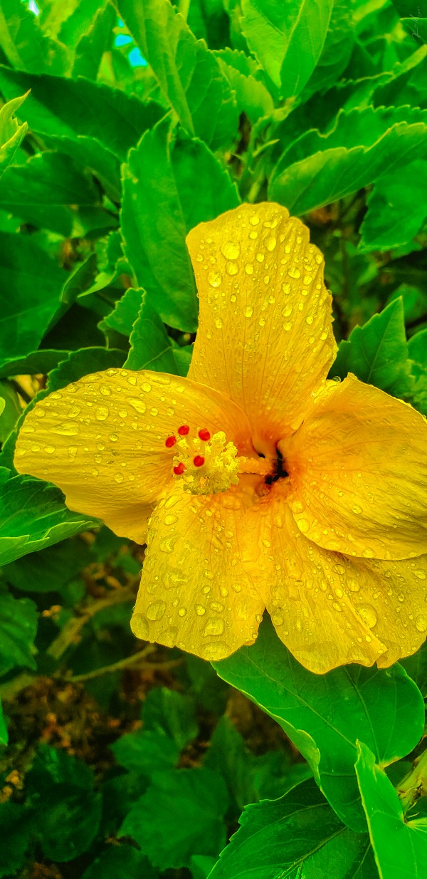 20200525 153919 Edit by SonicSkylineMedia