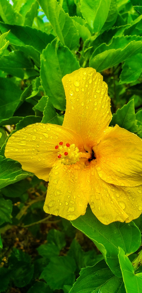 20200525 153919 by SonicSkylineMedia