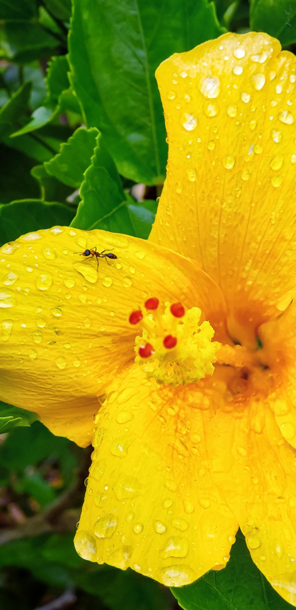 20200525 154026 Edit by SonicSkylineMedia