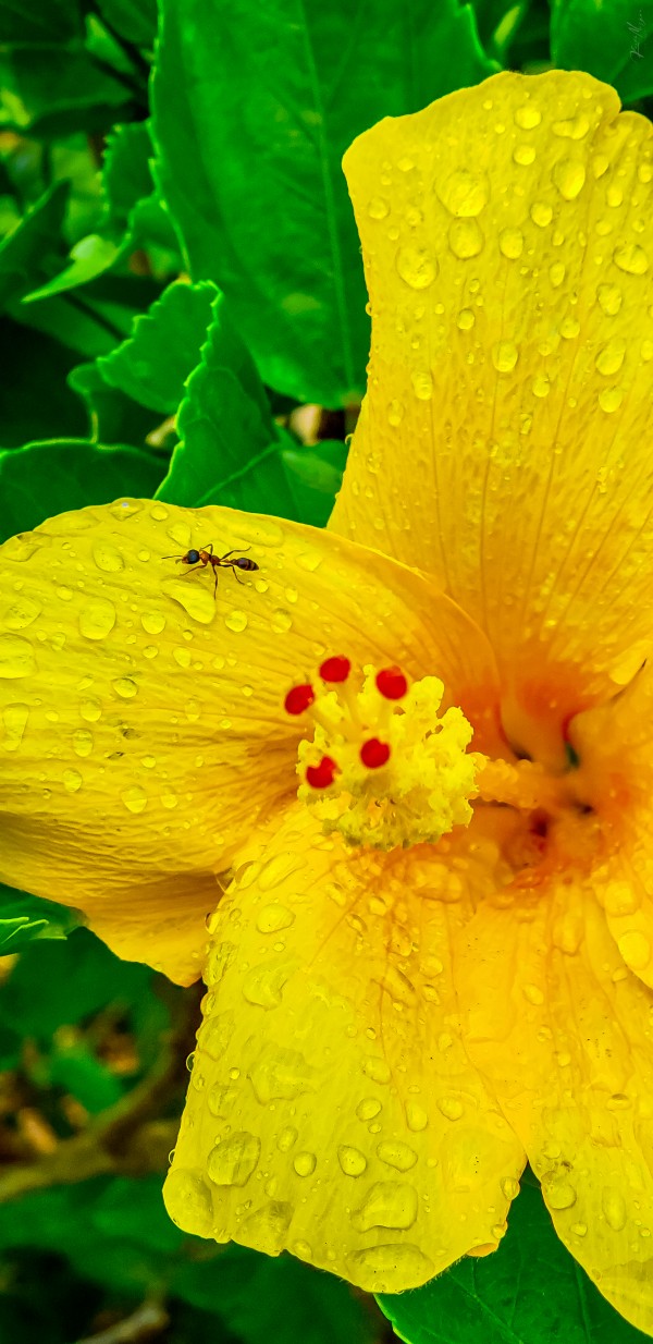 20200525 154026 by SonicSkylineMedia