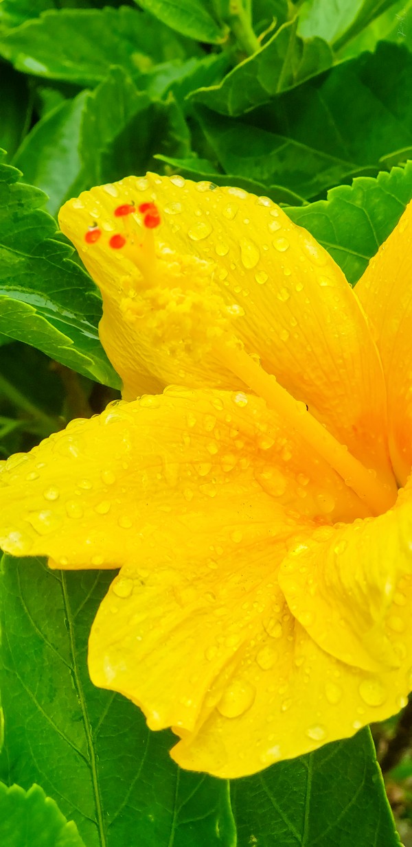 20200525 154112 by SonicSkylineMedia