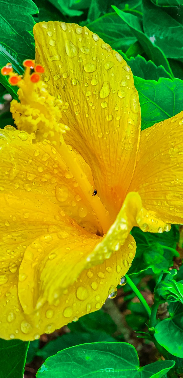 20200525 154239 by SonicSkylineMedia