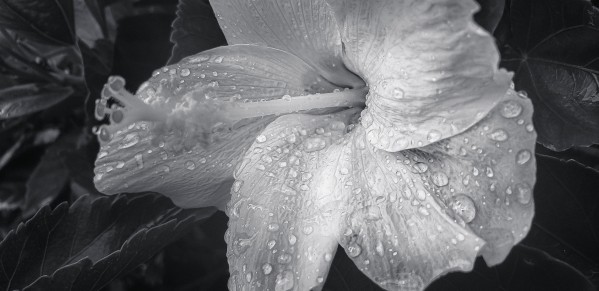 20200525 154250 2 by SonicSkylineMedia