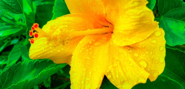 20200525 154250 by SonicSkylineMedia