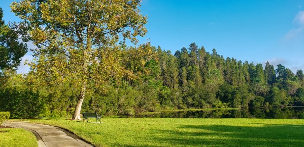 20200926 090854 by SonicSkylineMedia