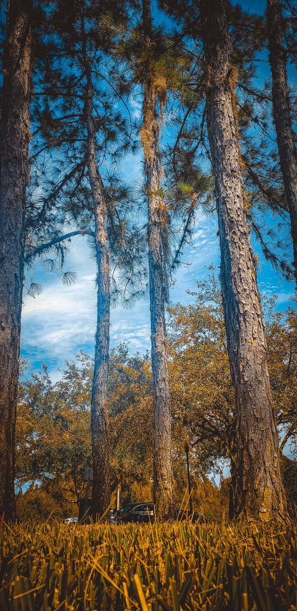 20200930 132258 by SonicSkylineMedia