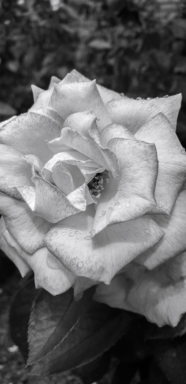 20201003 131713 by SonicSkylineMedia