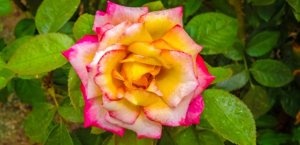 20201003 131747 by SonicSkylineMedia