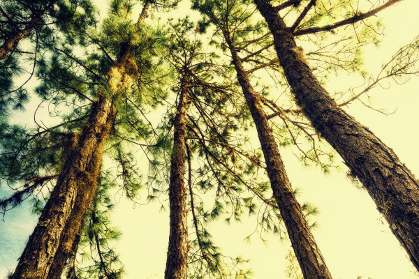 DSC 0005 Edit by SonicSkylineMedia